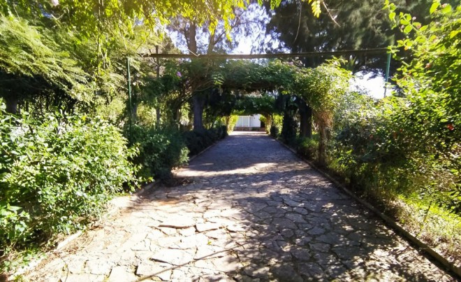 Villa · Revente · CHICLANA DE LA FRONTERA · Chiclana de la Frontera