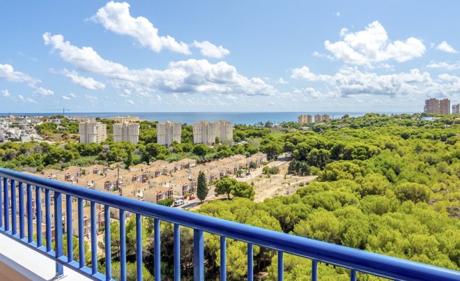 Apartamento / Piso - Venta - Orihuela Costa - Campoamor