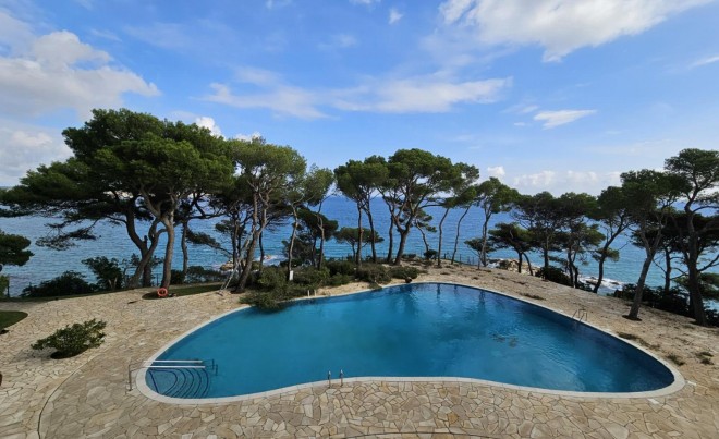 Appartement - Revente - Calonge - Calonge