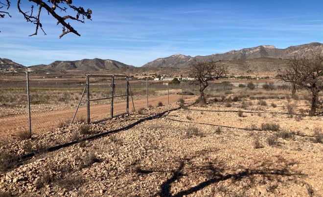 Parcela / Terreno · Venta · Hondón de las Nieves · HONDON DE LAS NIEVES