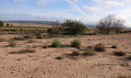 Parcela / Terreno - Venta - Yecla - IMA-24235