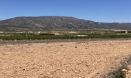 Plot / Land - Sale - Pinoso - IMA-79707