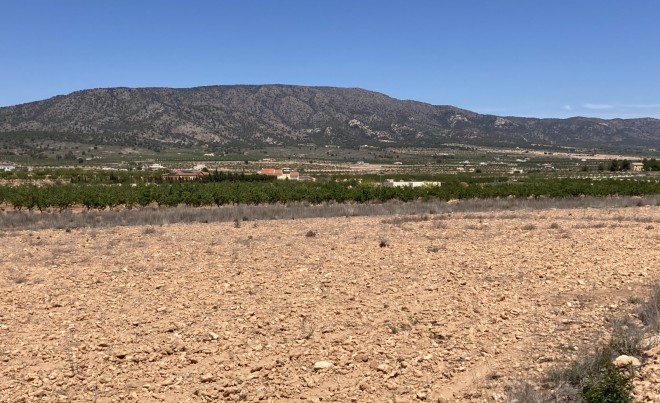 Plot / Land · Sale · Pinoso · Lel