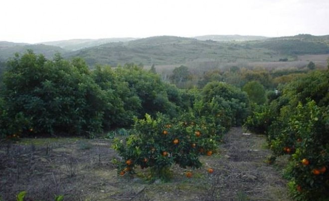 Villa / Chalet - Venta - Jimena de la Frontera - Costa de la Luz