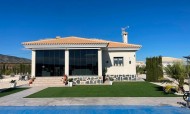 Villa - New Build - Pinoso - IMA-90941