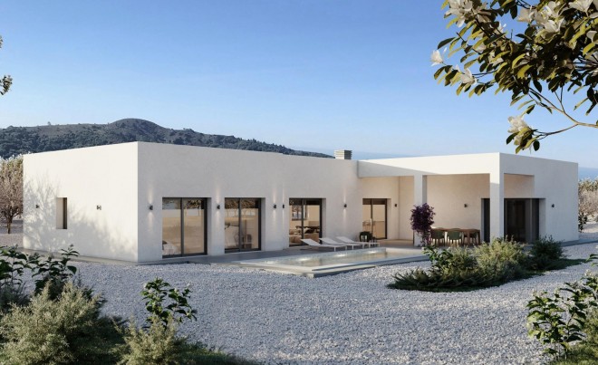 Villa · New Build · Pinoso · Lel