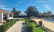 Villa - Sale - Aspe - ESCA10001