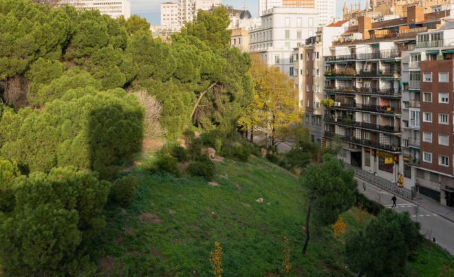 Sale · Apartment / Flat · MADRID · Palacio