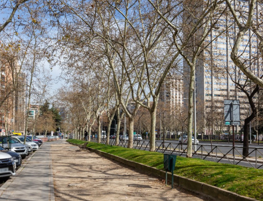 Revente · Appartement · MADRID · Castellana