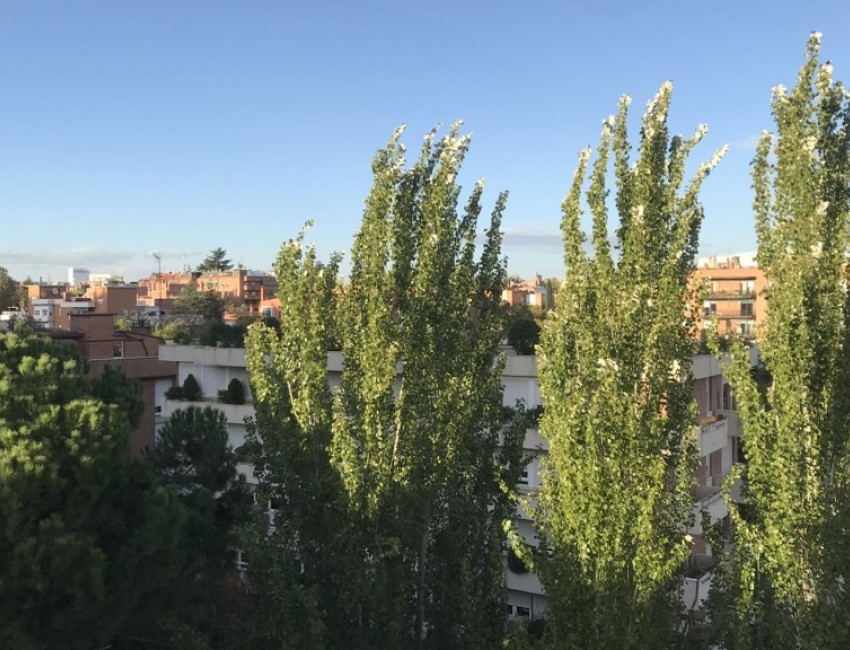 Sale · Apartment / Flat · MADRID · Concepción