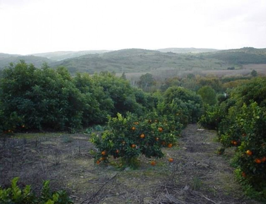 Sale · Villa · Jimena de la Frontera · Costa de la Luz