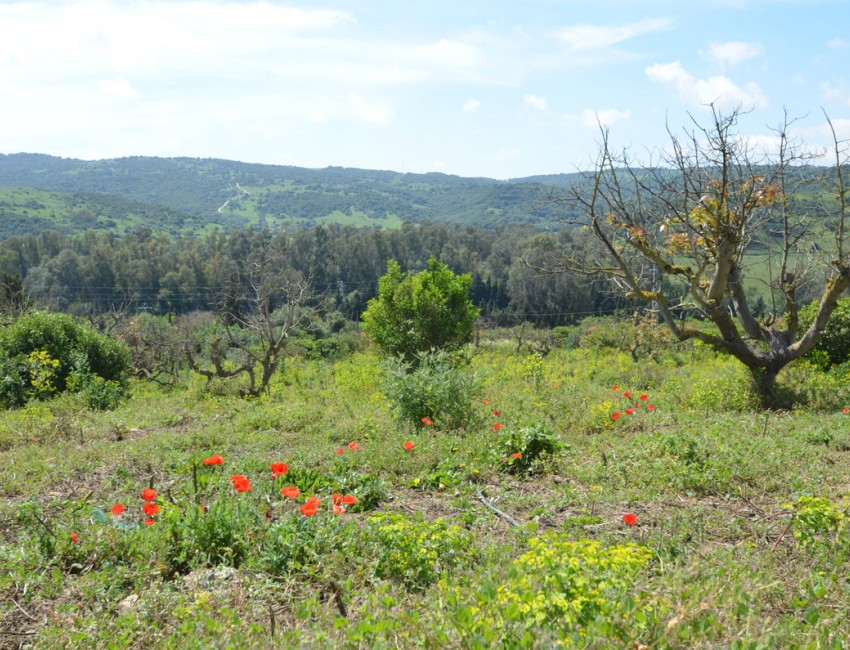 Sale · Villa · San Martín de Tesorillo · Costa del Sol