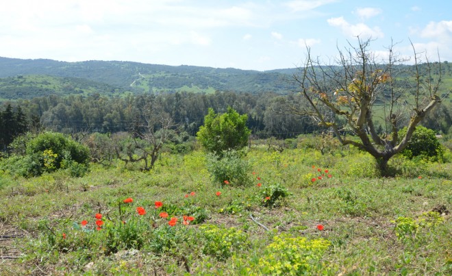 Revente · Villa · San Martín de Tesorillo · Costa del Sol