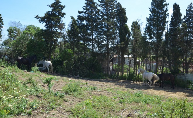 Revente · Villa · San Martín de Tesorillo · Costa del Sol