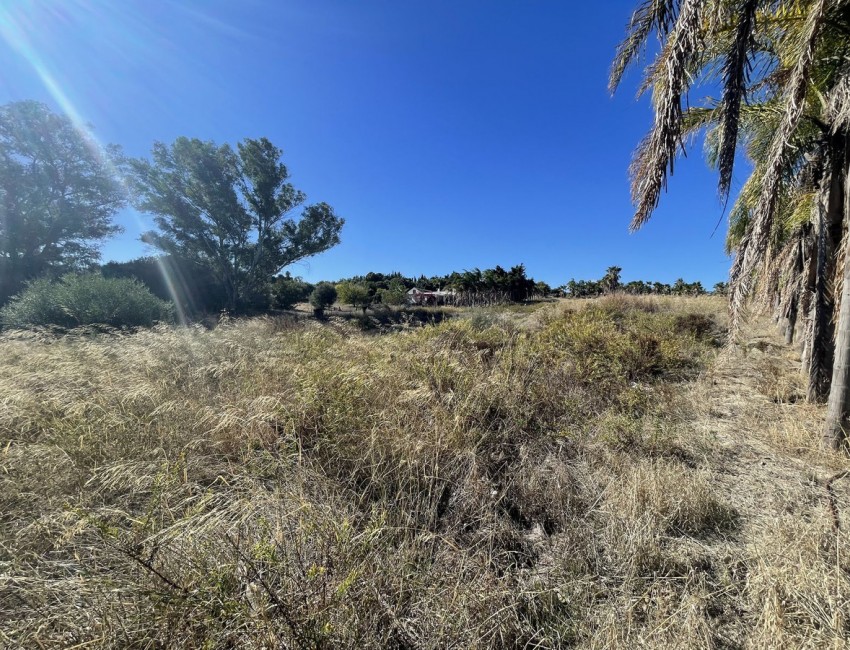 Sale · Plot / Land · Estepona · Costa del Sol