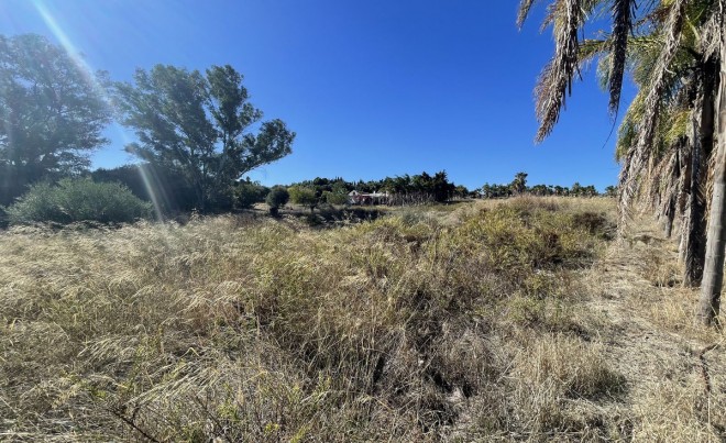 Sale · Plot / Land · Estepona · Costa del Sol