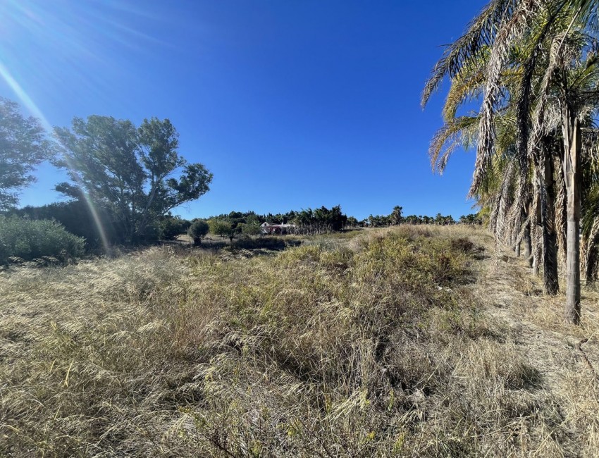 Sale · Plot / Land · Estepona · Costa del Sol