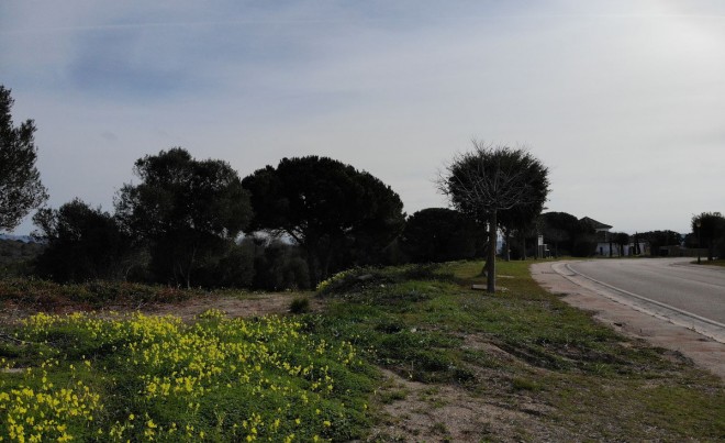 Sale · Plot / Land · Sotogrande · Costa del Sol