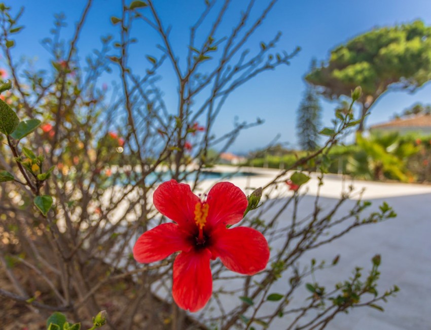 Revente · Villa · La Duquesa · Costa del Sol