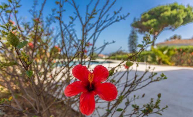 Revente · Villa · La Duquesa · Costa del Sol