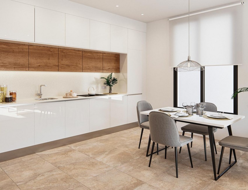 Nouvelle construction · Penthouse · Aguilas