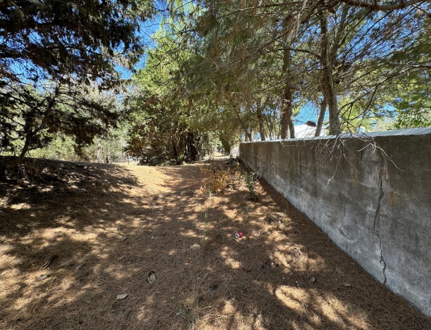 Sale · Plot / Land · San Roque · Costa del Sol