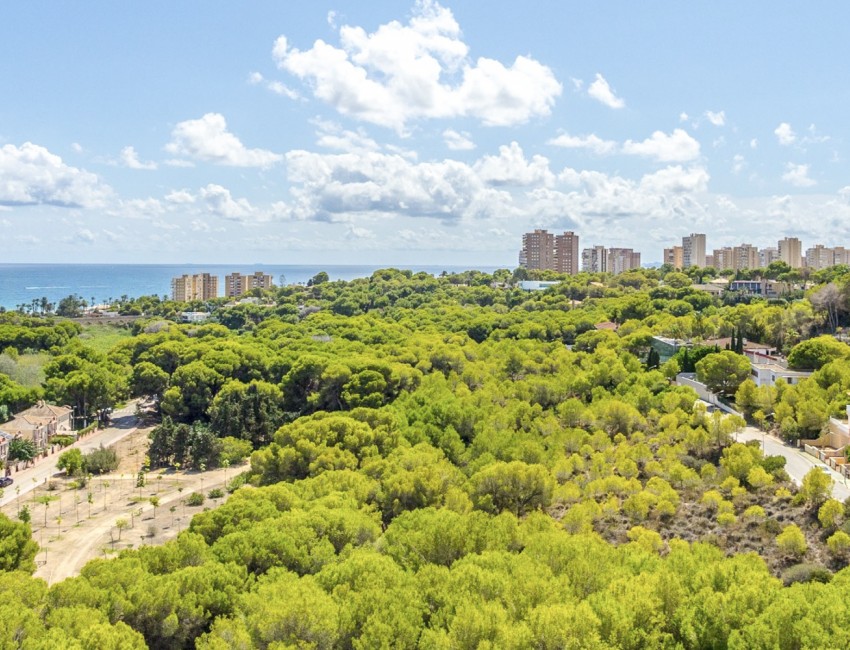 Venta · Apartamento / Piso · Orihuela Costa · Campoamor