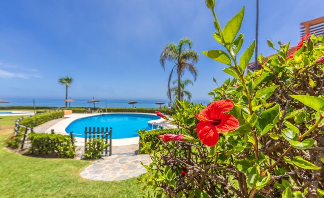 Sale · Bungalow / Townhouse / Detached / Terraced · La Duquesa · Costa del Sol