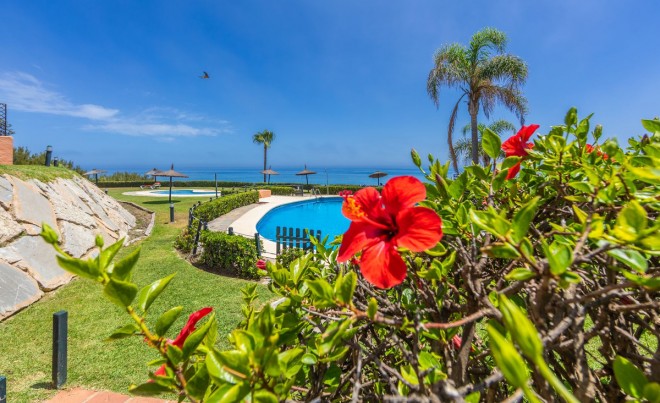 Sale · Bungalow / Townhouse / Detached / Terraced · La Duquesa · Costa del Sol