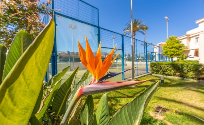 Sale · Apartment / Flat · Estepona · Costa del Sol