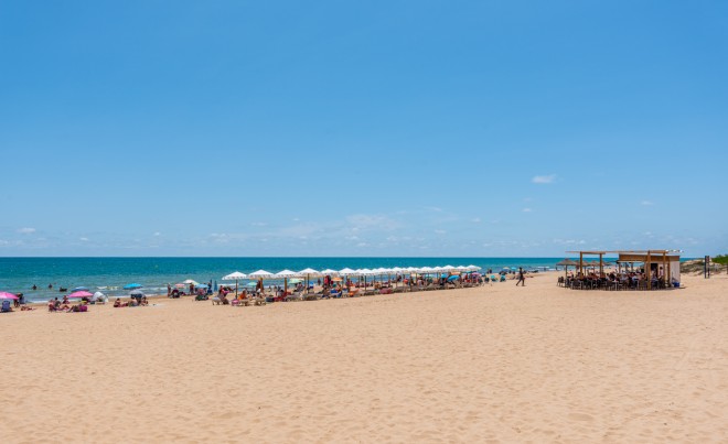 Venta · Bungalow / Adosado / Semiadosado · Guardamar del Segura