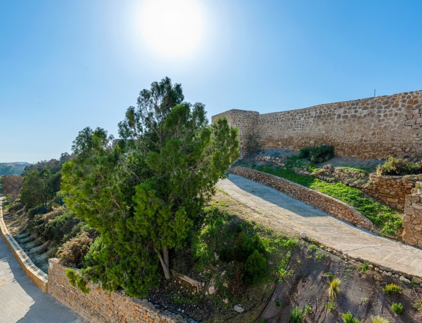 Sale · Bungalow / Townhouse / Detached / Terraced · Guardamar del Segura