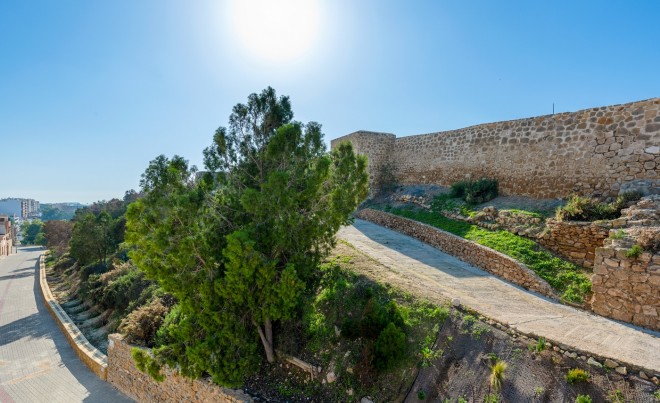 Sale · Bungalow / Townhouse / Detached / Terraced · Guardamar del Segura