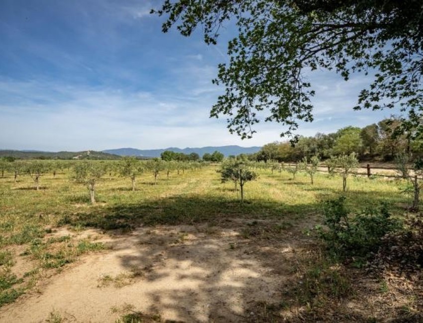 Revente · Villa · Port Empordà