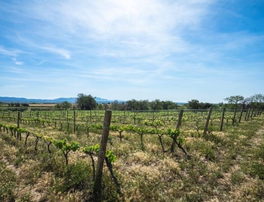 Revente · Villa · Port Empordà