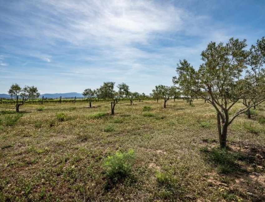 Revente · Villa · Port Empordà