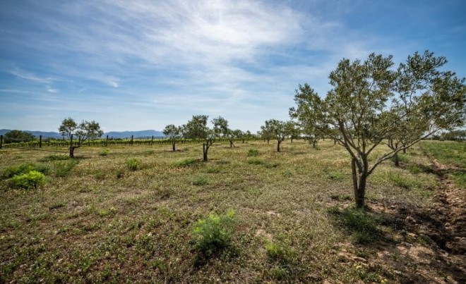 Revente · Villa · Port Empordà