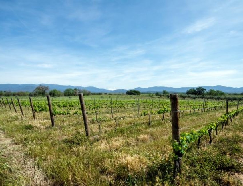 Revente · Villa · Port Empordà