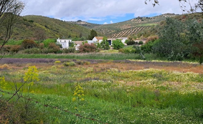 Revente · Parcelle / Terrain · El Saucejo · Sevilla