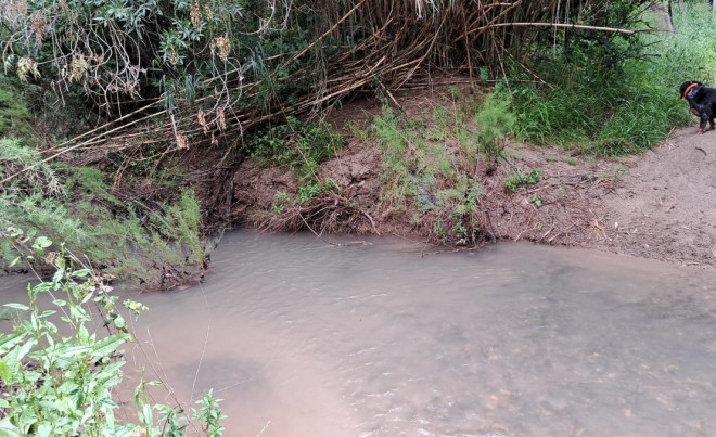 Revente · Parcelle / Terrain · El Saucejo · Sevilla