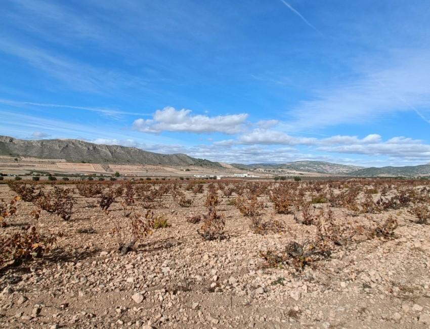 Nueva construcción  · Villa / Chalet · Canada De La Lena