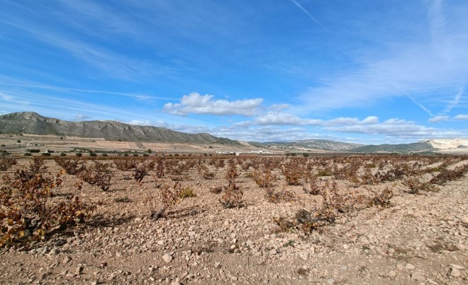 Nueva construcción  · Villa / Chalet · Canada De La Lena