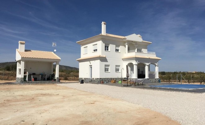 Nouvelle construction · Villa · Pinoso · Camino Del Prado