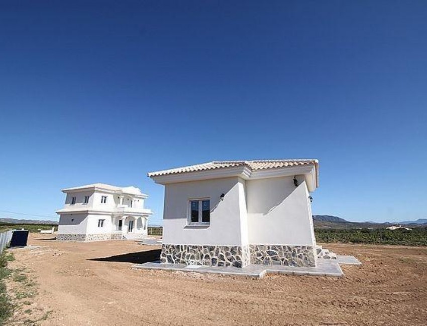 Nouvelle construction · Villa · Pinoso · Camino Del Prado