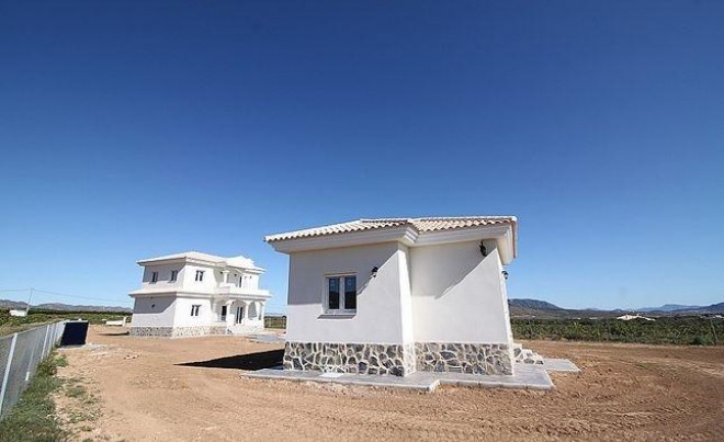 Nouvelle construction · Villa · Pinoso · Camino Del Prado