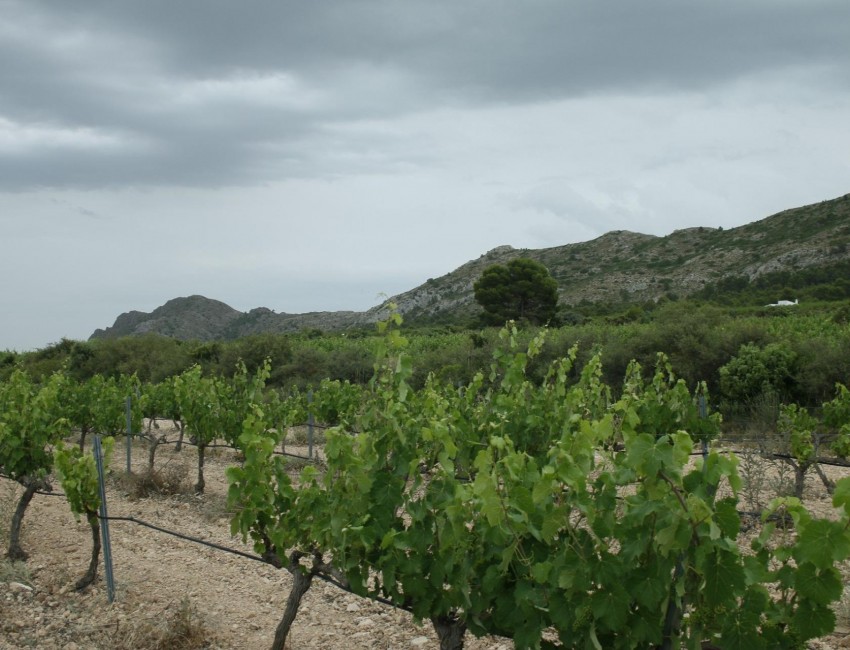 Nueva construcción  · Villa / Chalet · Yecla