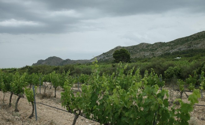 Nueva construcción  · Villa / Chalet · Yecla