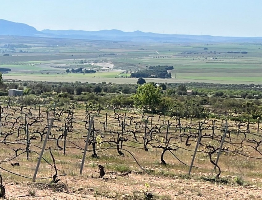 Nueva construcción  · Villa / Chalet · Yecla