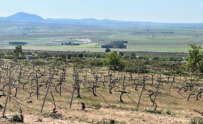 Nueva construcción  · Villa / Chalet · Yecla