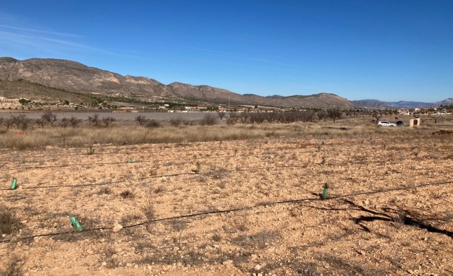 Revente · Parcelle / Terrain · Hondón de las Nieves · HONDON DE LAS NIEVES